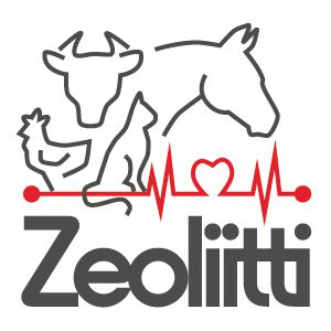 Zeoliitti